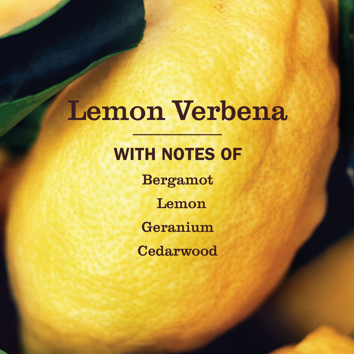 Lemon Verbena Vinegar Gel Cleaning Spray