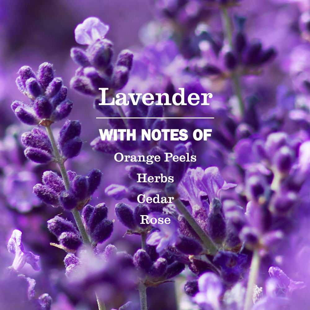 Lavender Probiotic Daily Shower Spray