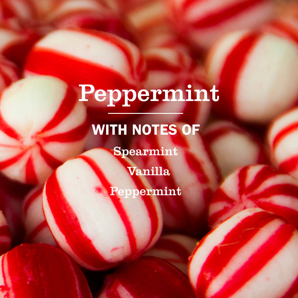 Peppermint Dish Soap