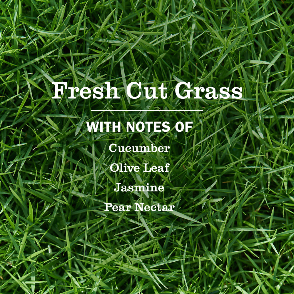Fresh Cut Grass Multi-Surface Everyday Cleaner 3-count Bundle